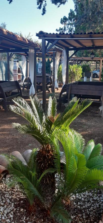 Gallicano nel Lazio Villa Paradise Resort מראה חיצוני תמונה