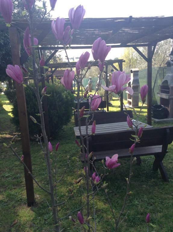 Gallicano nel Lazio Villa Paradise Resort מראה חיצוני תמונה
